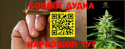 jwh Дубна