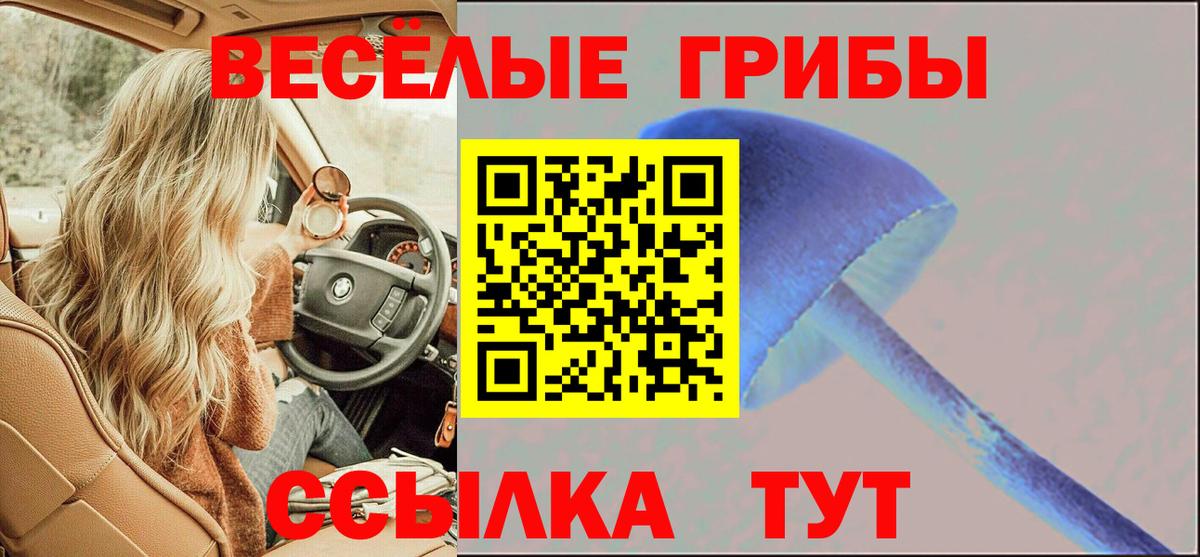 Псилоцибиновые грибы Magic Shrooms Калуга