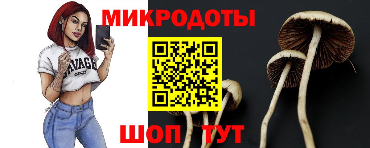 Псилоцибиновые грибы мухоморы  Вход с VPN  где продают наркотики  Калуга  Галлюциногенные грибы Magic Shrooms 